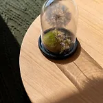 Dormideira * Сан-Висенте-де-О-Грове